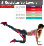 Insonder Resistance Bands Set